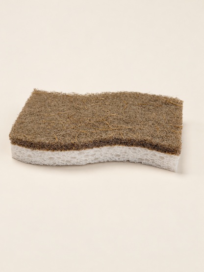 Coconut sponge
