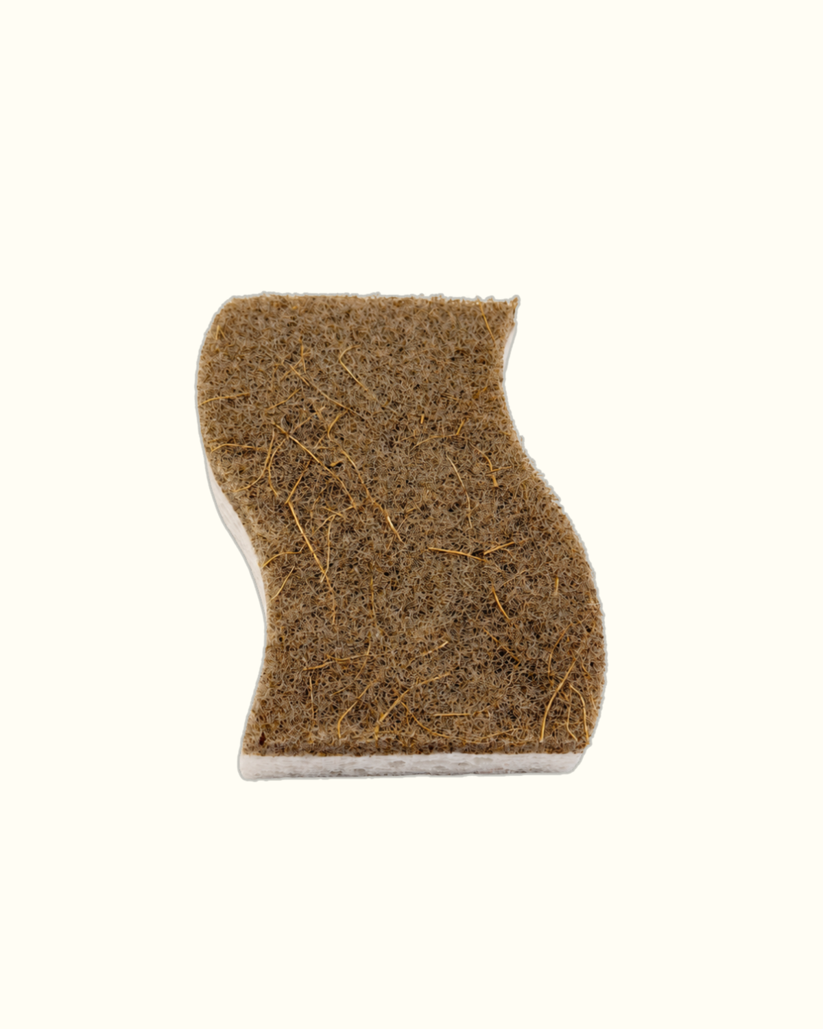 Coconut sponge
