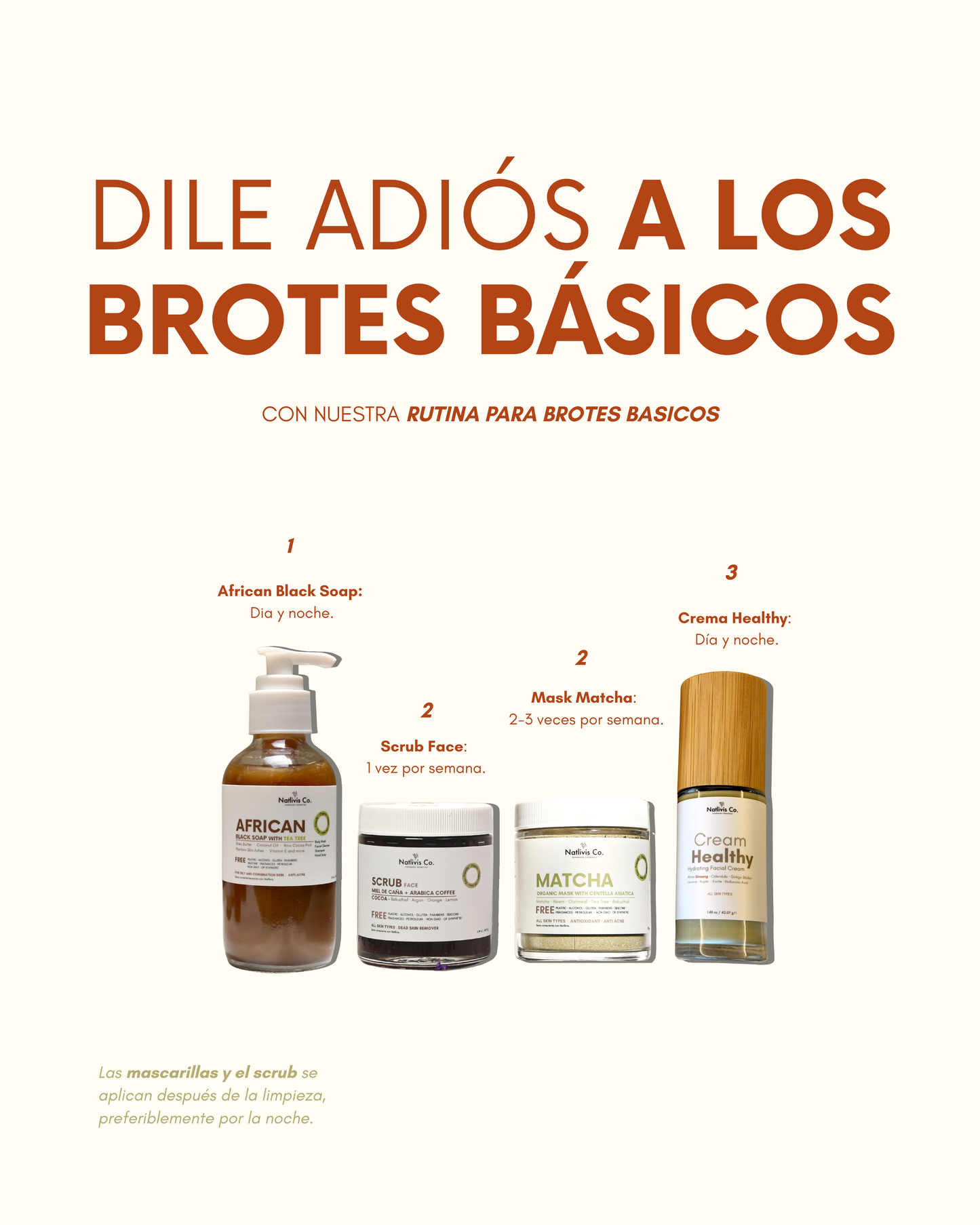 Rutina de Brotes Basicos