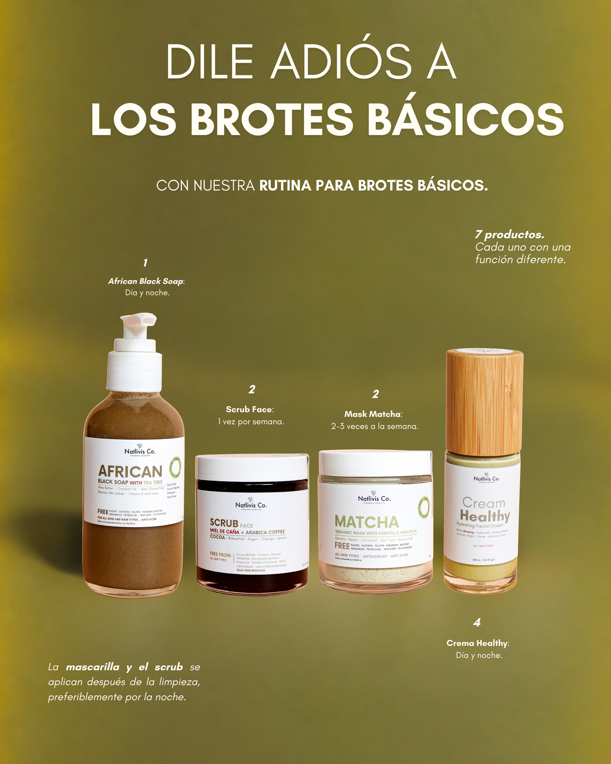 Rutina de Brotes Basicos