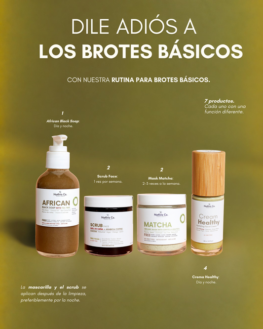 Rutina de Brotes Basicos